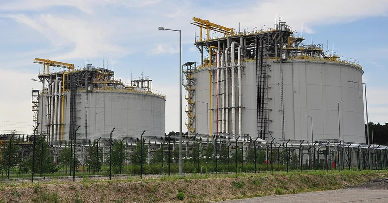 Quand faut-il diversifier ? Les signaux qui ne trompent pas